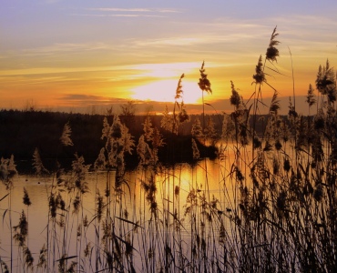 Bild-Nr: 9499970 Sonnenbild Erstellt von: Renate Knapp