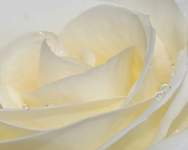 Bild-Nr: 9517544 Tenderness Erstellt von: youhaveadream