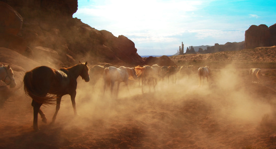 Bild-Nr: 9521224 Wild wild west ...  Erstellt von: Conny Jasmine Cibella