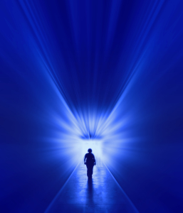 Bild-Nr: 9523970 • react to light •  2 Erstellt von: Galerie-Fotoeffekt