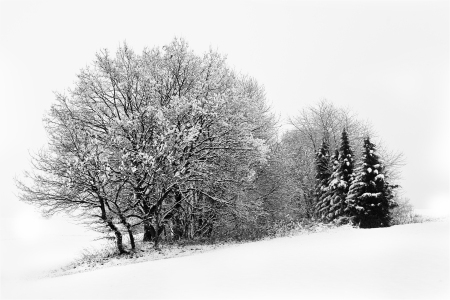 Bild-Nr: 9528180 Winterimpresionen 2 Erstellt von:  Heidi  Brausch 
