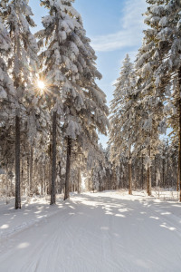 Bild-Nr: 9541106 Winterzeit Erstellt von: HeschFoto