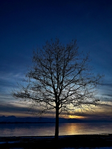 Bild-Nr: 9542152 Bodensee Romantik Erstellt von: Renate Knapp