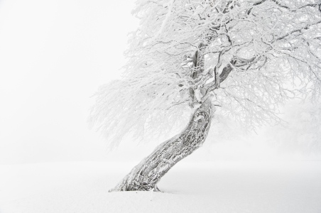 Bild-Nr: 9544932 schnee-weiß 3 Erstellt von: danielschoenen