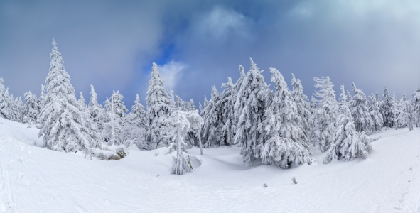 Bild-Nr: 9551062 Winterzeit... Erstellt von: HeschFoto