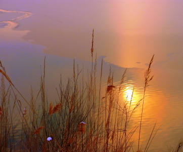 Bild-Nr: 9553240 Winterlicht Erstellt von: Renate Knapp