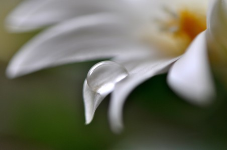 Bild-Nr: 9556862 Tropfen Erstellt von: summerdreams