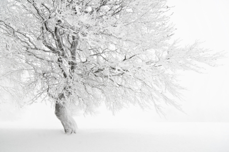 Bild-Nr: 9557996 schnee-weiß 4 Erstellt von: danielschoenen