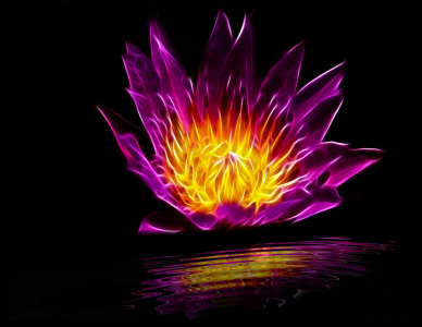 Bild-Nr: 9559800 Lotusblüte Erstellt von: Caras