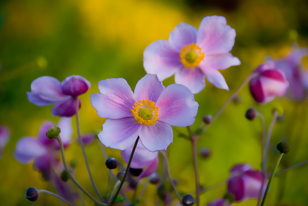 Bild-Nr: 9564426 Sommerfeeling Erstellt von: Steffen Gierok