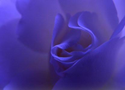 Bild-Nr: 9565432 Blue Dream Erstellt von: Renate Knapp