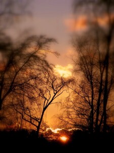 Bild-Nr: 9573948 Abendstimmungen Erstellt von: Renate Knapp