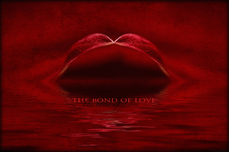 Bild-Nr: 9574770 the bond of love... Erstellt von: Pixelschmiede