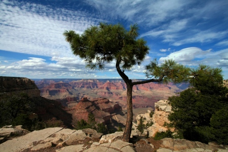 Bild-Nr: 9575228 - Grand Canyon -  Erstellt von: Marcel Schauer