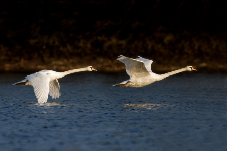 Bild-Nr: 9576072 A U F B R U C H Erstellt von: Thomas Herzog