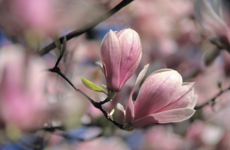 Bild-Nr: 9579076 Frühling ahoi Erstellt von: suteracher