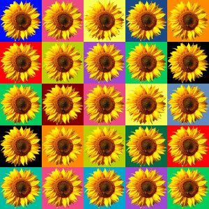 Bild-Nr: 9581550 Sonnenblume, Collage Erstellt von: melinda
