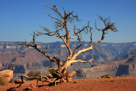 Bild-Nr: 9586198 - Grand Canyon -  Erstellt von: Marcel Schauer