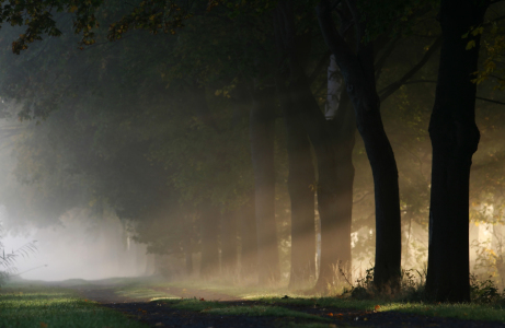 Bild-Nr: 9593984 Seitenlicht Erstellt von: Jana Behr