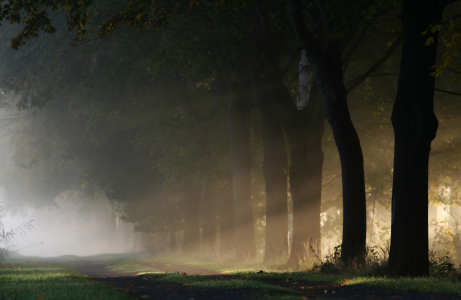 Bild-Nr: 9593984 Seitenlicht Erstellt von: Jana Behr