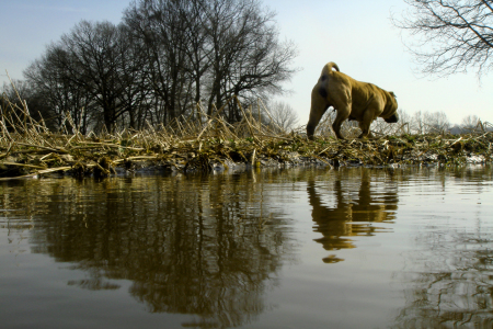 Bild-Nr: 9598902 Am Wasser Erstellt von: yammay