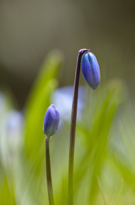 Bild-Nr: 9611576 New life Erstellt von: Wachtelstein