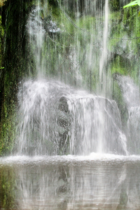 Bild-Nr: 9627254 Rainforest - 2 Erstellt von: Galerie-Fotoeffekt