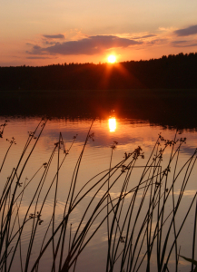 Bild-Nr: 9655426 Seestimmung bei Sonnenuntergang Erstellt von: Blumenfee