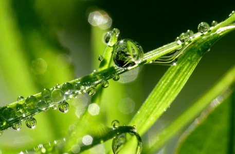 Bild-Nr: 9658158 Wassertropfen Erstellt von: gabii40