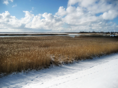 Bild-Nr: 9679190 Ostseebad - Boltenhagen Erstellt von: Galerie-Fotoeffekt