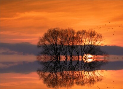 Bild-Nr: 9680668 Abendträume Erstellt von: Renate Knapp