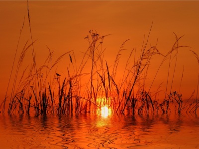 Bild-Nr: 9686812 Abendrot Erstellt von: Renate Knapp