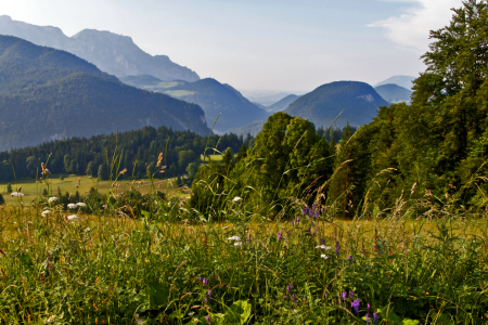 Bild-Nr: 9708652 Unterwegs im Berchtesgadener Land Erstellt von: Rene Müller