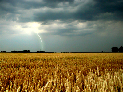 Bild-Nr: 9717234 Gewitter Erstellt von: yammay