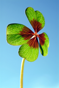 Bild-Nr: 9719644 LUCKY DAY Erstellt von: blackpool