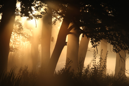 Bild-Nr: 9720988 Licht Erstellt von: Jana Behr