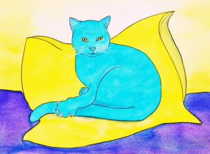 Bild-Nr: 9725294 turquoise cat Erstellt von: Michaba