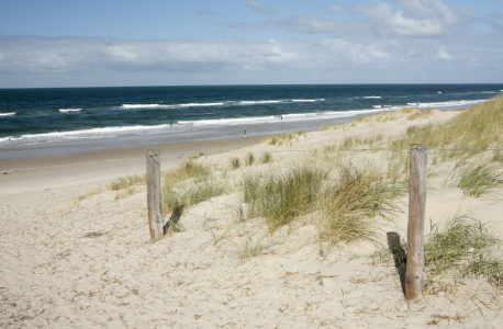 Bild-Nr: 9738272 Dünenlandschaft, Sonne und Meer Erstellt von: dbphotography