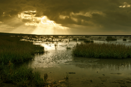 Bild-Nr: 9738376 Wattenmeer Erstellt von: Armin Redöhl