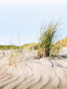 Bild-Nr: 9743382 Nordsee | Strand ~ 2 Erstellt von: Frank Wächter