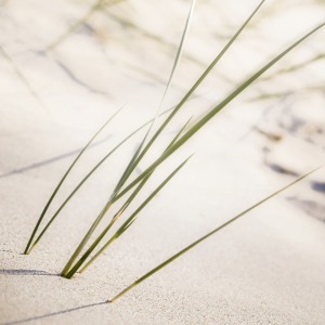Bild-Nr: 9743442 Nordsee | Strand ~ 3 Erstellt von: Frank Wächter