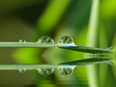 Bild-Nr: 9756136 Wasserperlen Erstellt von: gabii40