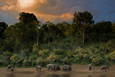 Bild-Nr: 9762660 Ich träumte von Afrika . . .  Erstellt von: Thomas Herzog