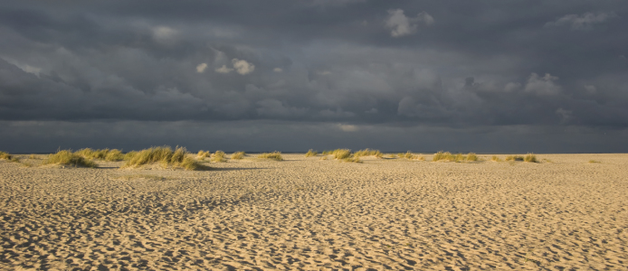 Bild-Nr: 9766116 Am Sylter Strand Erstellt von: Annette Sturm