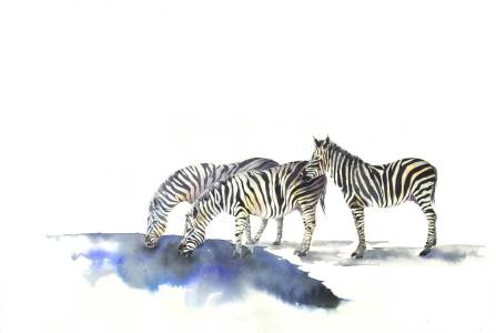 Bild-Nr: 9774474 Zebras Erstellt von: JitkaKrause