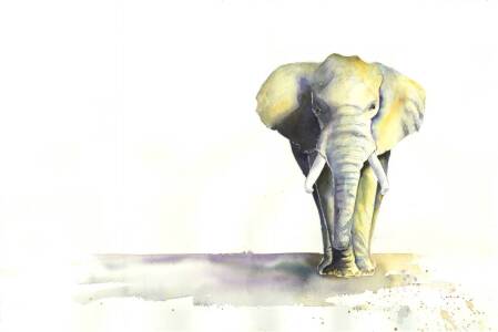 Bild-Nr: 9774478 Elefant Erstellt von: JitkaKrause