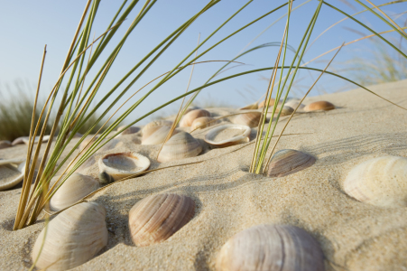 Bild-Nr: 9790960 neulich am Strand 6 Erstellt von: danielschoenen