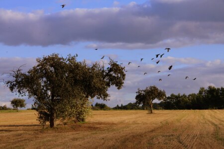 Bild-Nr: 9792696 Herbstlandschaft Erstellt von: Renate Knapp