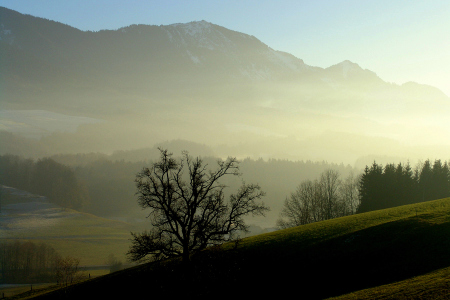 Bild-Nr: 9792946 Nebel am Morgen Erstellt von: Socke