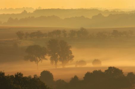 Bild-Nr: 9803718 Sanftes Licht des Morgens Erstellt von: Yakari